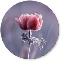 Hochwertiges Glasbild Botanik floral