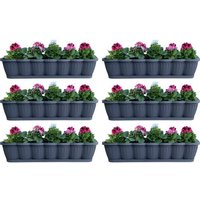 BURI Blumenkasten 6er Set 80cm Blumenkasten Pflanzkasten Anthrazit mit Bewässerung