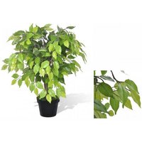 Künstliche Zimmerpflanze Künstlicher Zwerg Ficus mit Topf 60 cm Pflanze realistisch echt  vidaXL  Höhe 0 cm