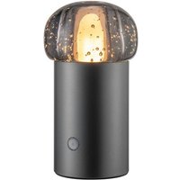 blomus LED Tischleuchte  IRIS  Mobile Akku LED Leuchte: Dimmbar & Wetterfest für Innen & Außen  LED fest integriert  Warmweiß  Tageslichtweiß  Kaltweiß  Designerleuchte  Mobil  Akku  Dimmbar  47 Std.  2700K bis 4000K  IP54
