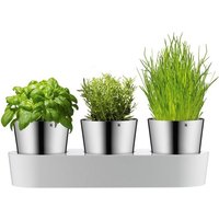 WMF Kräutertopf  Set  7 St   mit Bewässerungssystem  Indoor
