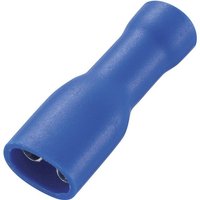 TRU COMPONENTS Flachsteckhülsen TRU COMPONENTS 737840 4.8 Flachsteckhülse Steckbreite: 4.8 mm Steckdi  FDFD2 187 8 