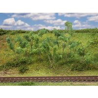 Waldrandbäume/ sträucher