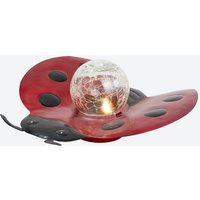 Solar Bodenleuchte in verschiedenen Designs  ca. 22 5x23x9 cm