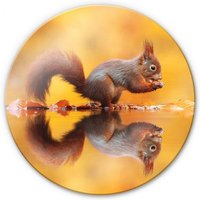 Hochwertiges Glasbild Eichhörnchen Waldtiere