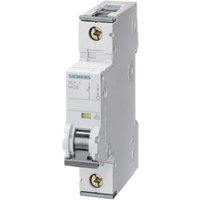 SIEMENS Schalter Siemens 5SY41027 5SY4102 7 Leitungsschutzschalter 2 A