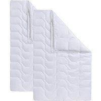 Kunstfaserbettdecke  Bettdecken Set Rügen  135x200 oder 155x220 cm  Sommer oder Winter  Beco  Füllung: Polyester  Bezug: Microfaser
