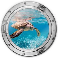 Hochwertiges Glasbild Rund Bullauge Schildkröte