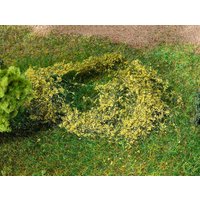 Blätterfoliage  mittelgrün