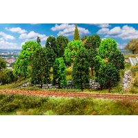 15 Laubbäume  sortiert