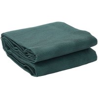 vidaXL Zeltteppiche Zeltteppich Anthrazit 4x2 m Grün Polyethylen 2.5 x 2.5 Meter