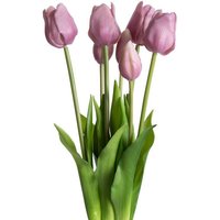 Kunstpflanze Maiva Tulpe  my home  Höhe 47 cm  Tulpenbündel im 7er Set
