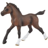 Schleich  Spielfigur Schleich 13762   Spielfigur  Sammelfigur  Araber Fohlen
