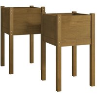 vidaXL Pflanzkübel Pflanzkübel Blumenkübel Pflanzcontainer Pflanzgefäße 2 Stk Honigbraun