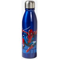 Aluminium Trinkflasche in verschiedenen Designs  ca. 600 ml