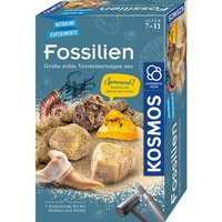 Kosmos Experimentierkasten Fossilien   Ausgrabungs Set   Mitbring Experimente