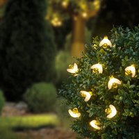 Solar Lichterkette mit Erdspieß