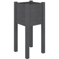 vidaXL Pflanzkübel  Pflanzkasten Grau 31x31x70 cm Massivholz Kiefer