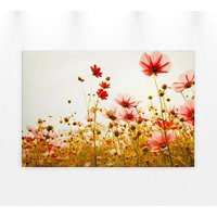 Blumenwiese Leinwandbild 90x60