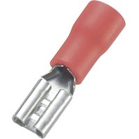 TRU COMPONENTS Flachsteckhülsen TRU COMPONENTS 1572131 Flachsteckhülse Steckbreite: 2.8 mm Steckdicke  FDD1.25 110 8 